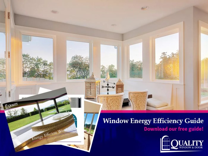 Energy Efficient Window Guide | FREE Downloadable for Energy Efficiency Energy Efficient Window Guide | FREE Downloadable for Energy Efficiency